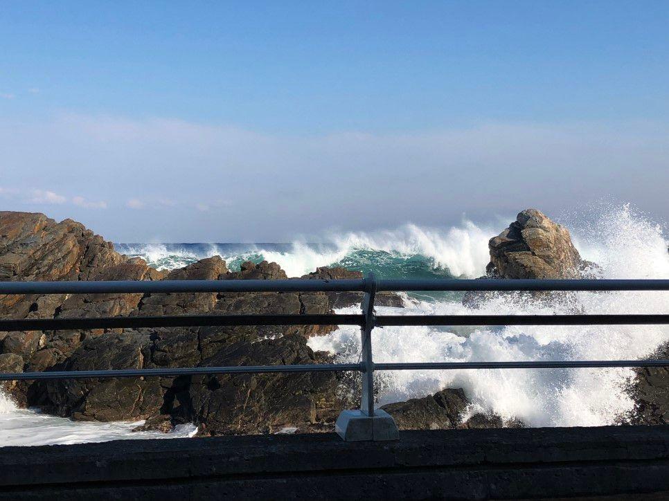 【Gangneung Daytrip, Tour】Filming Site of Goblin, BEST things to do in Gangneung, Gangwon-do.